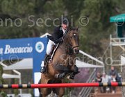 Schuttert Up to Date TosTour 2013- S5 7564 : Arezzo Equestrian Centre, Schuttert Hendrik, Toscana Tour 2013, Up to Date, foto di Stefano Secchi ©